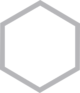 logo_polygon